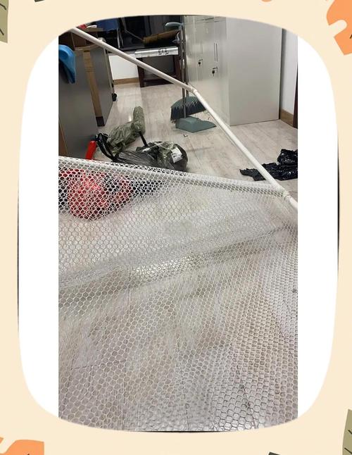 租房怎么做猫门