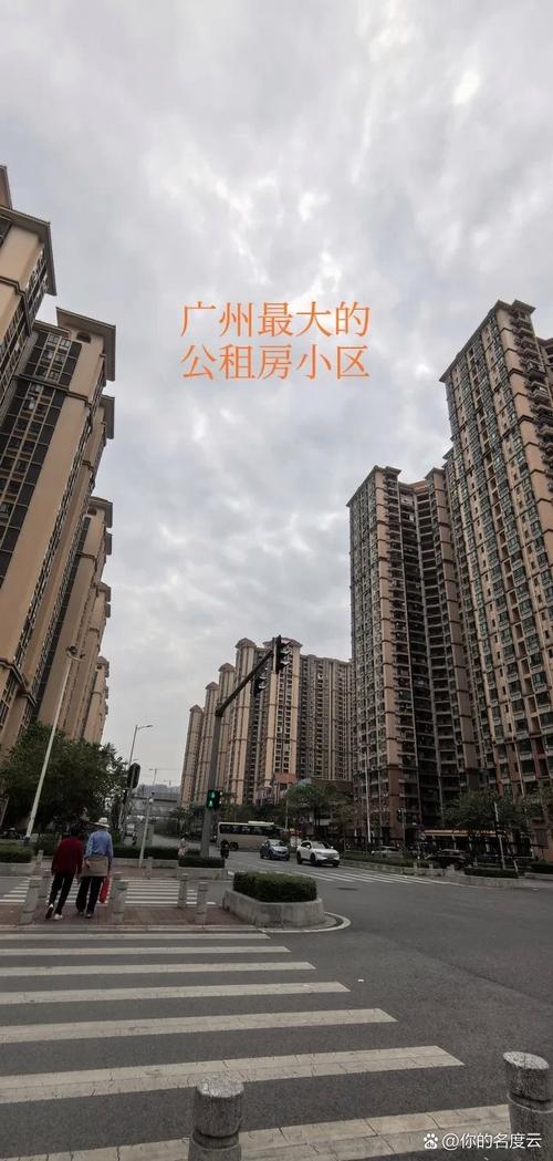 南悦花园最新动态