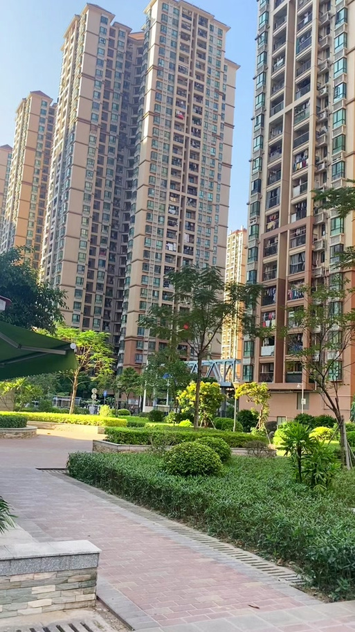 南悦花园最新动态