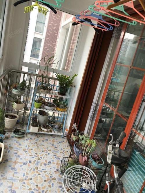 后沙峪后街花园