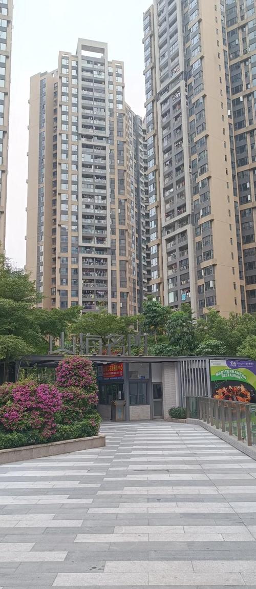 金沙洲租房怎么样