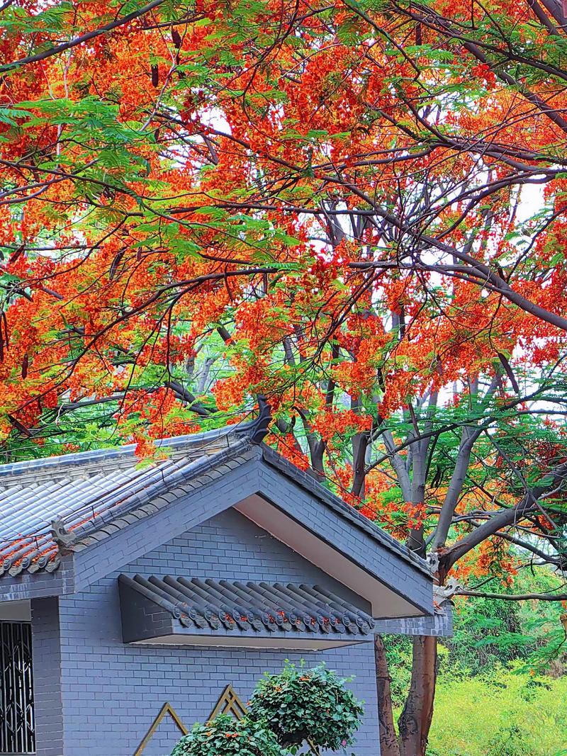 攀枝花炳三区在售楼盘