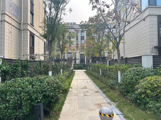 视高镇大学城在售楼盘