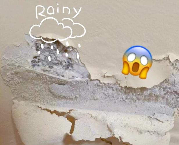 租房墙壁掉灰怎么处理