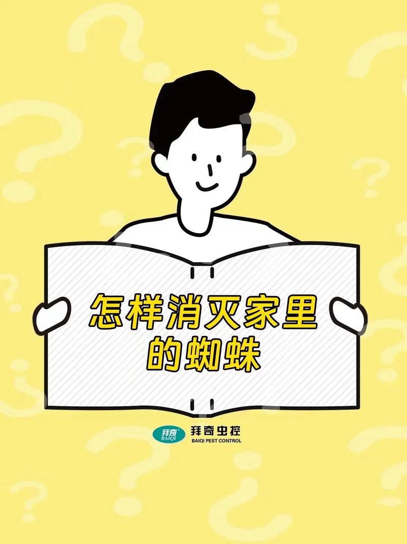 出租房怎么除蜘蛛