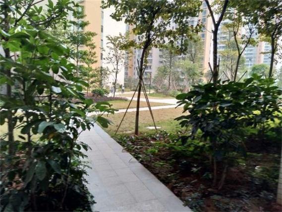 三水恒达花园最新楼盘