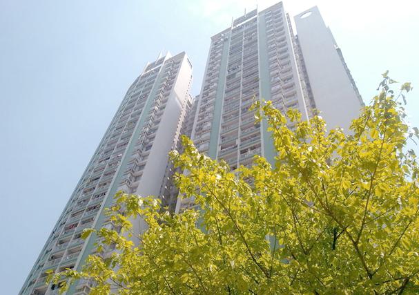 翠城花园1栋