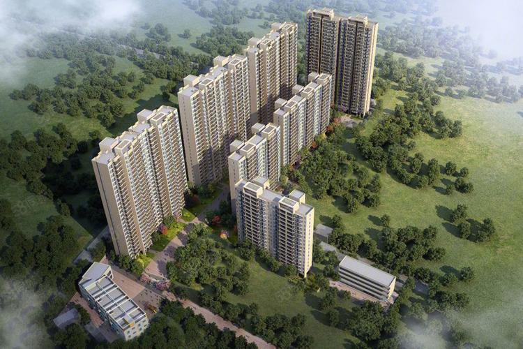 雷州房价多少钱一平方