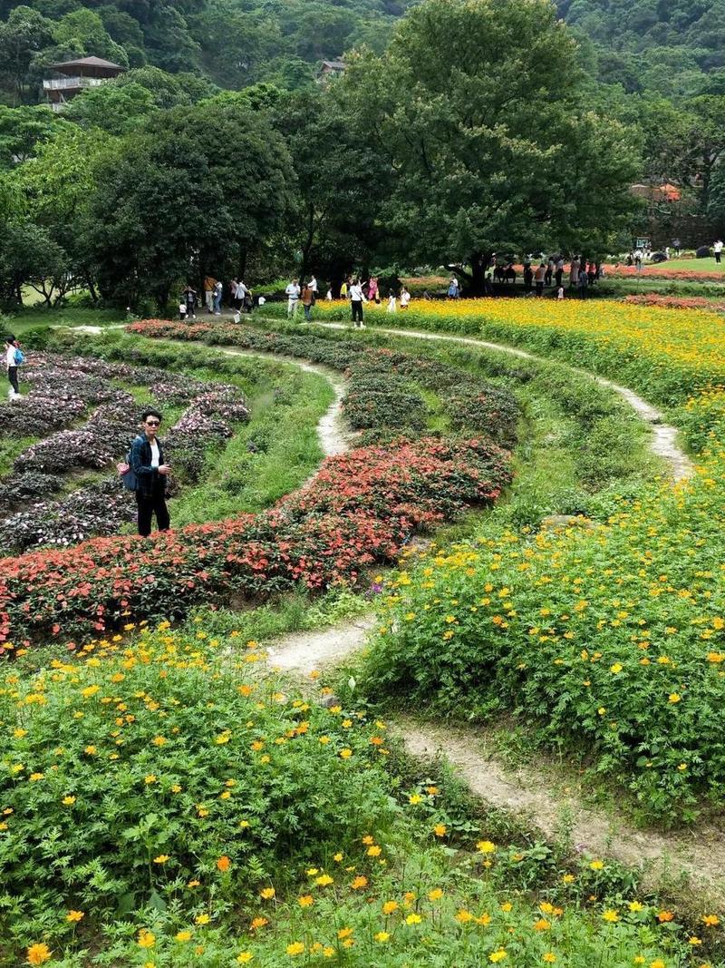 美丽3a花园