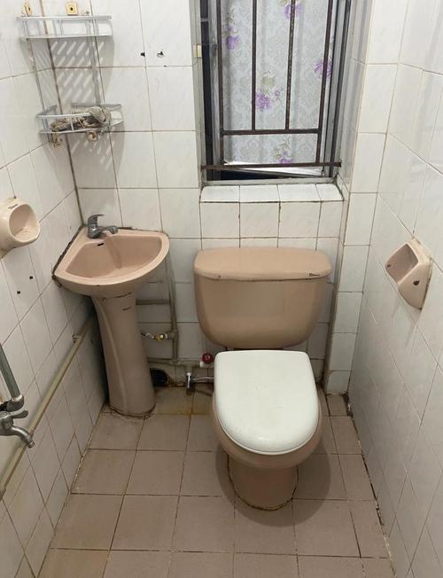 租房厕所小怎么设计