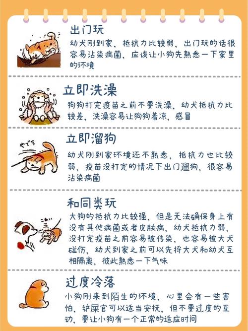 租房宠物怎么办