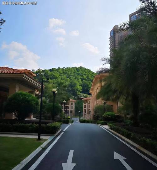 深圳湖景花园房价