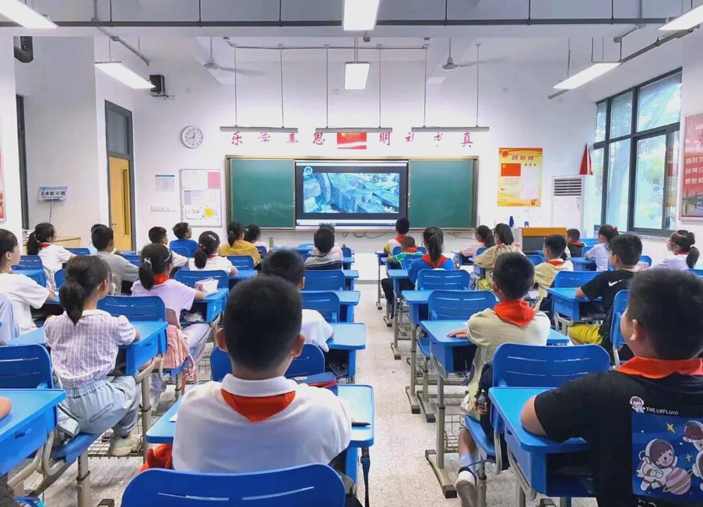 扬州振兴花园小学划分