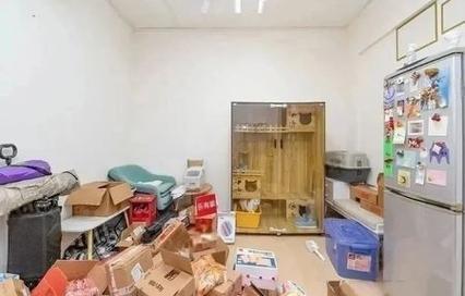 港岛租房家具怎么配