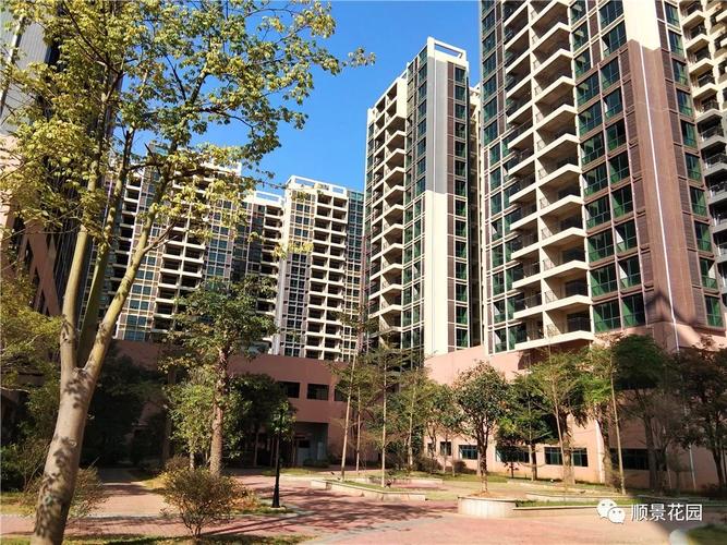 河源市和平县最新楼盘