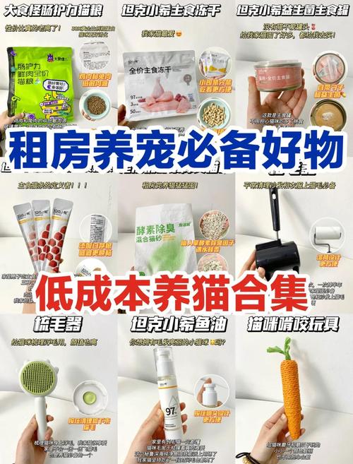 租房猫怎么办