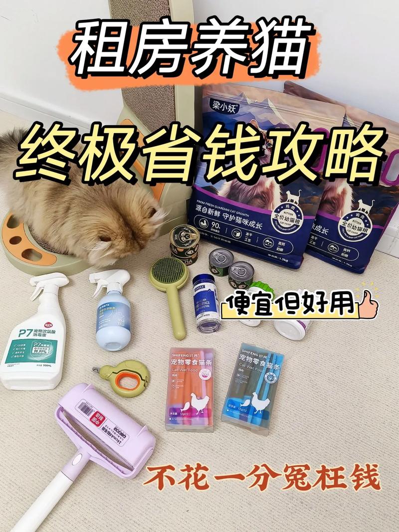 租房猫怎么办