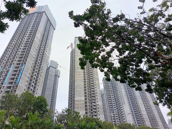 湛江市赤坎区新楼盘