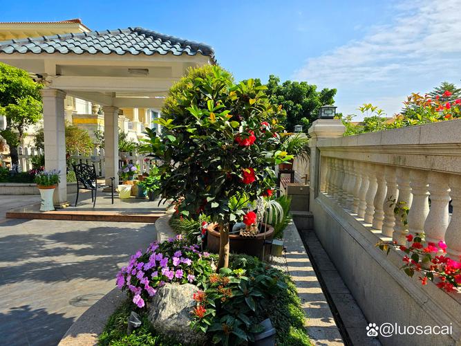 北仑中心花园