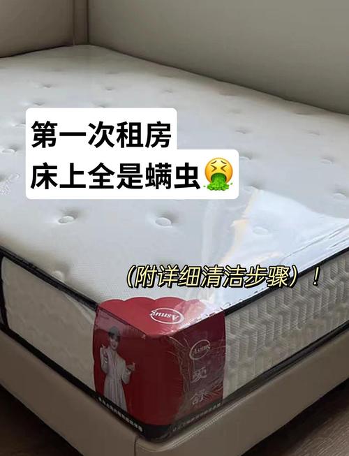 租房床垫应该怎么清理