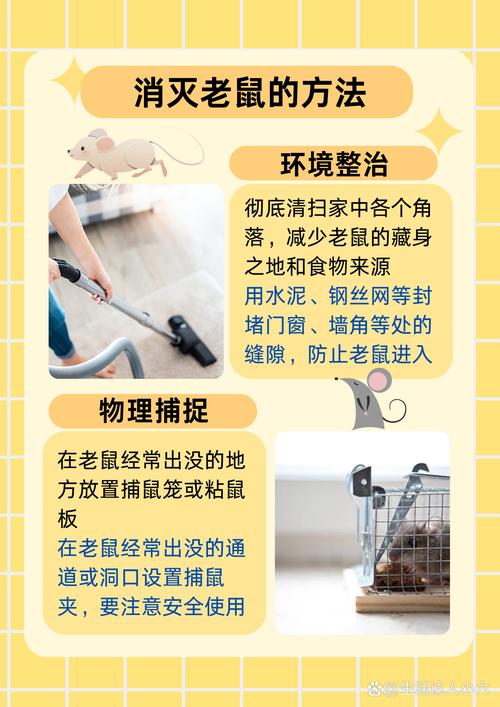 租房有老鼠怎么预防