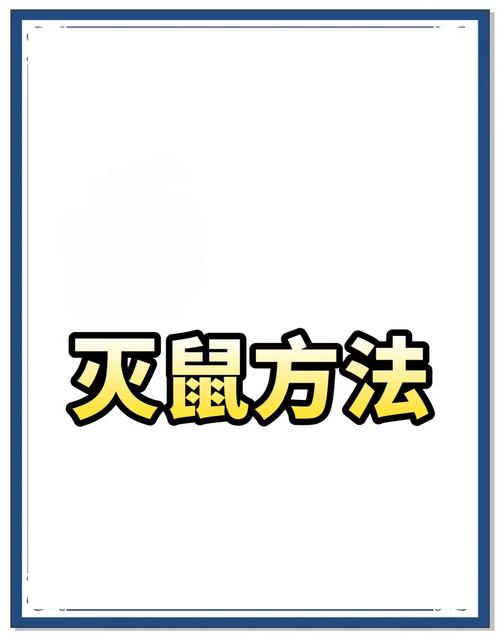 租房有老鼠怎么预防