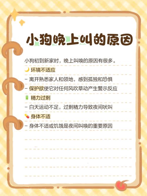 租房狗叫怎么办