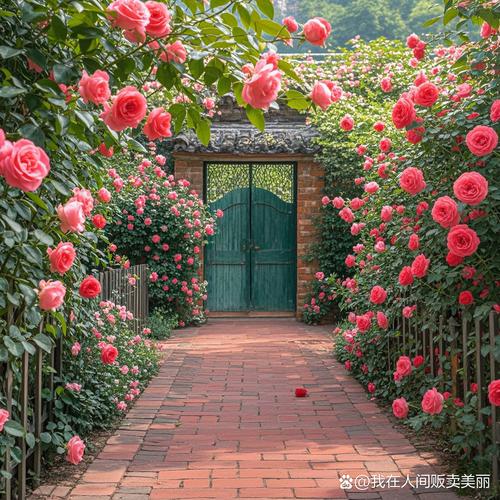 红玫瑰花园图片