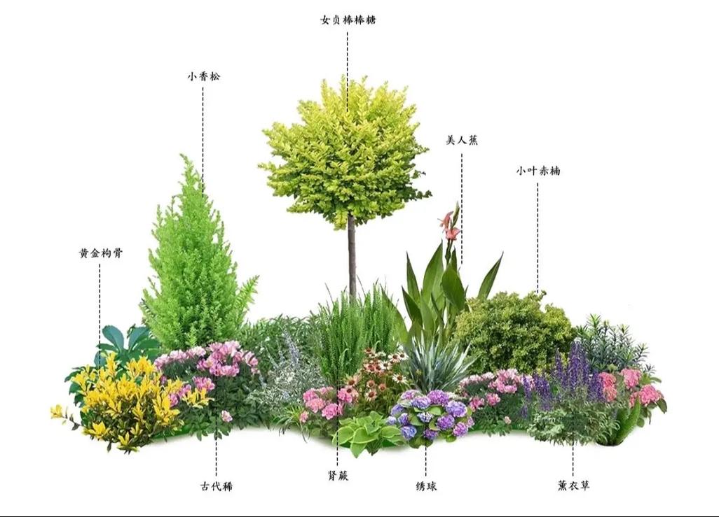入户花园种什么植物