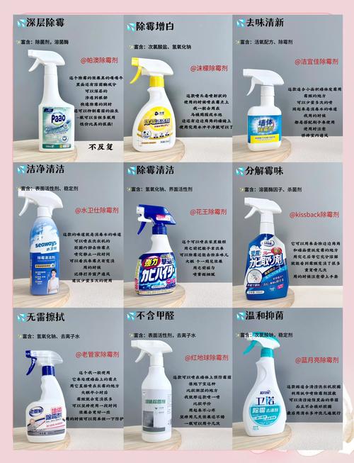 租房子怎么防霉