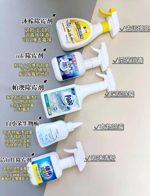 租房子怎么防霉