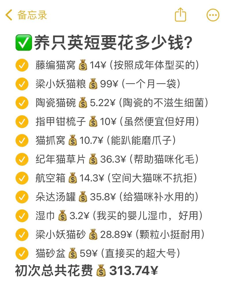 租房房间小怎么养猫