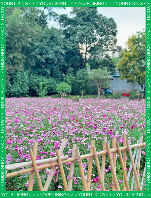 佛山三山花园