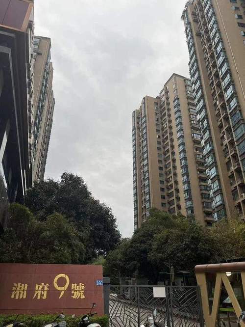 长沙市政府附近楼盘