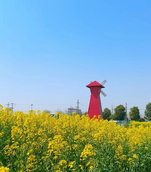 铜陵有色迎江花园
