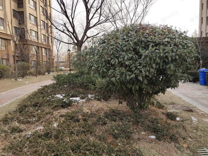 仙悦花园最新动态