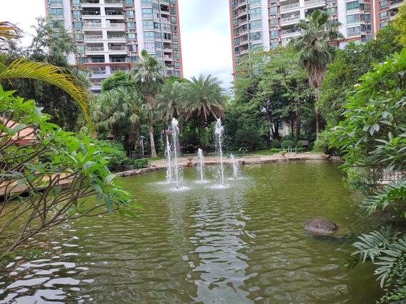 清远海港成花园