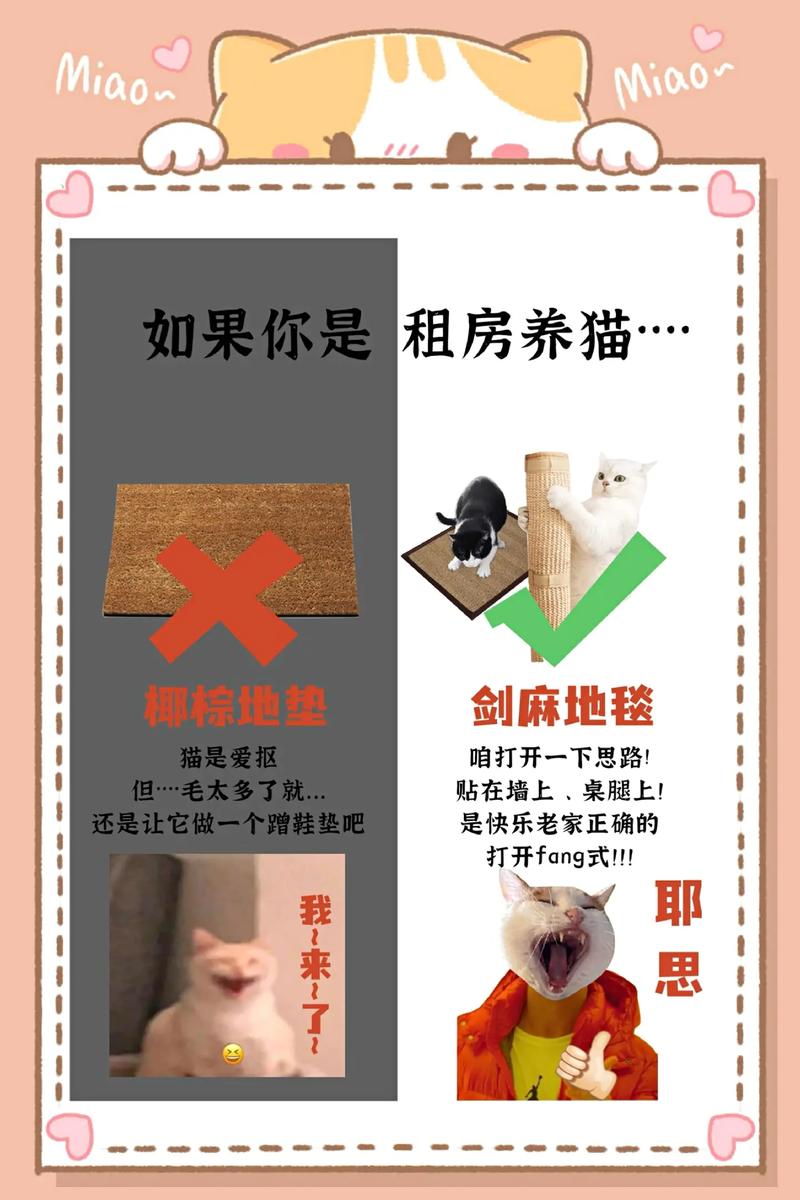 租房养猫怎么办