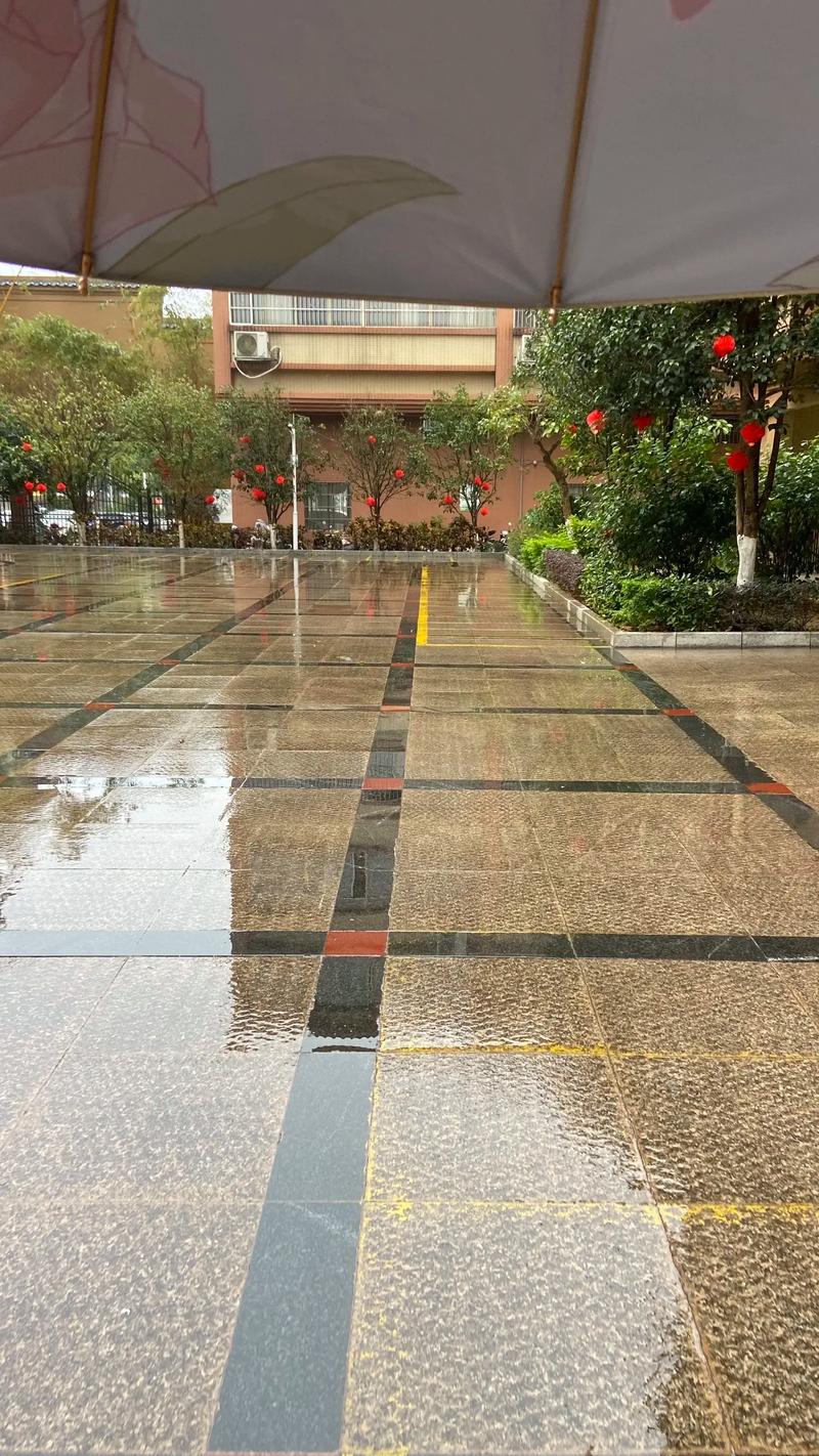 武鸣景湖花园价格