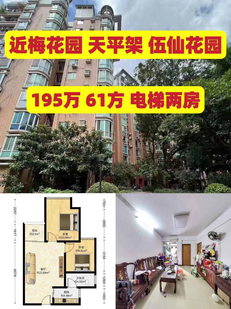 龙仙房价