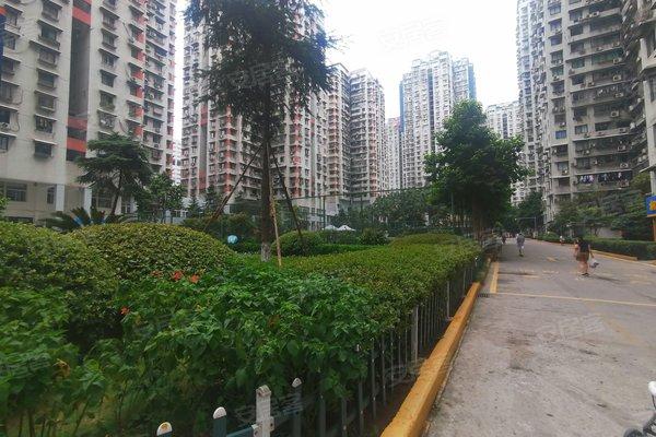 谢岗加州花园