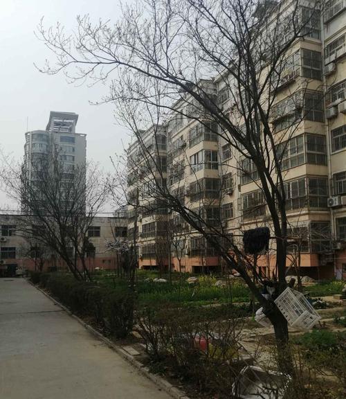 厦门富贵花园