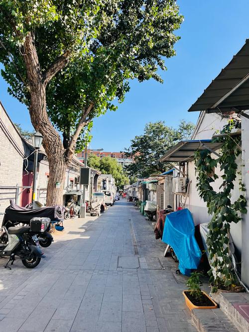 北京花园胡同小区