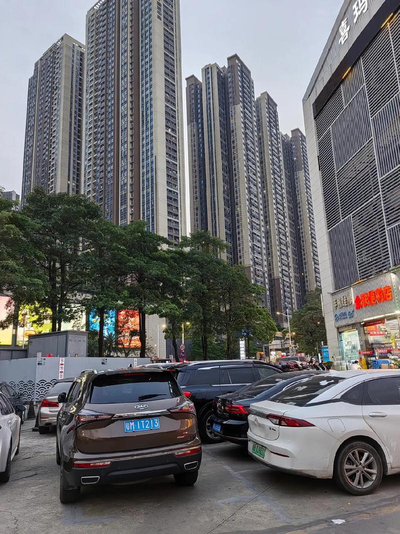 龙华大富豪花园