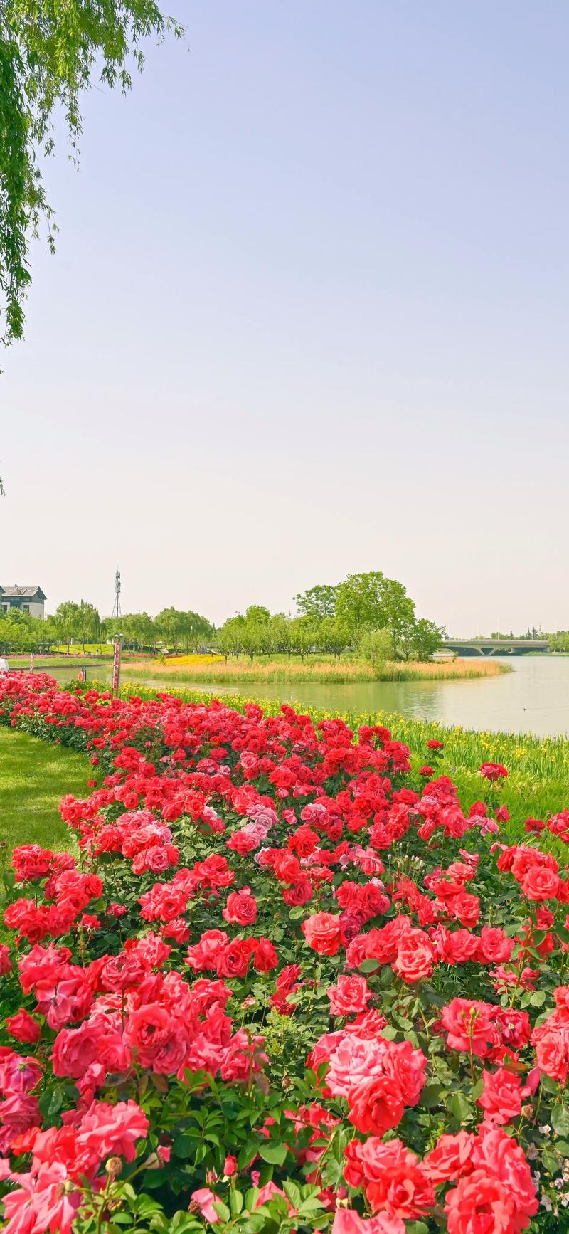诸城河畔花园