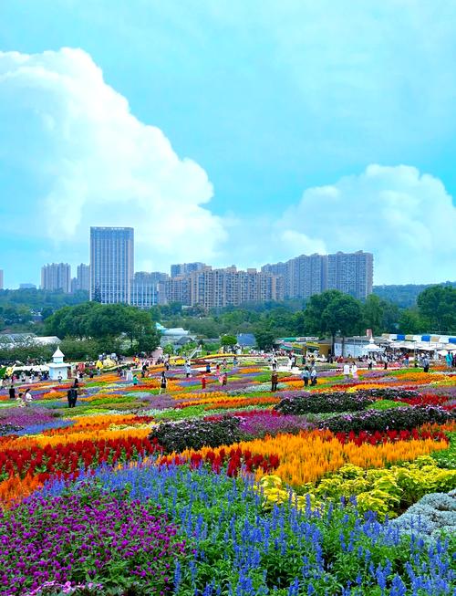 成都5大花园