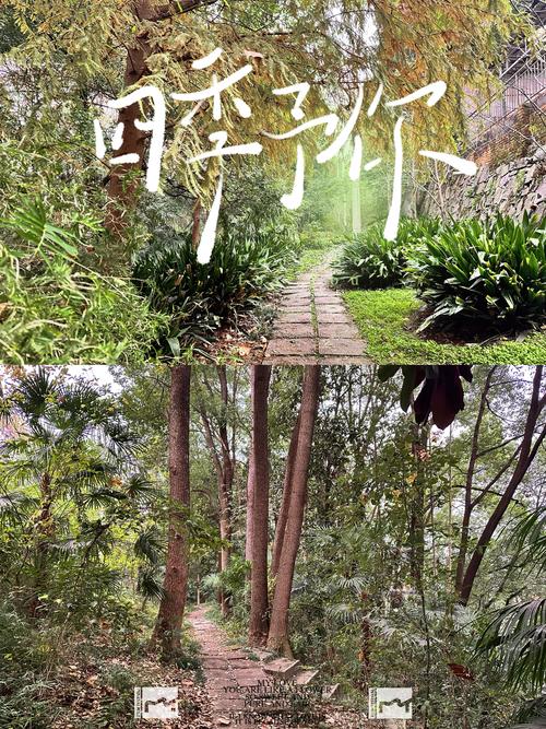 宜昌绿萝花园