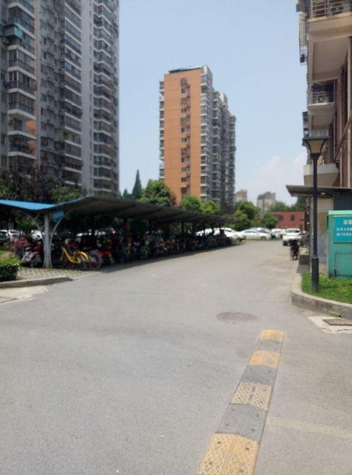 泰中花园学区