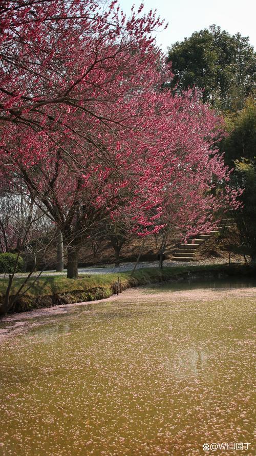 珠海恒荣花园