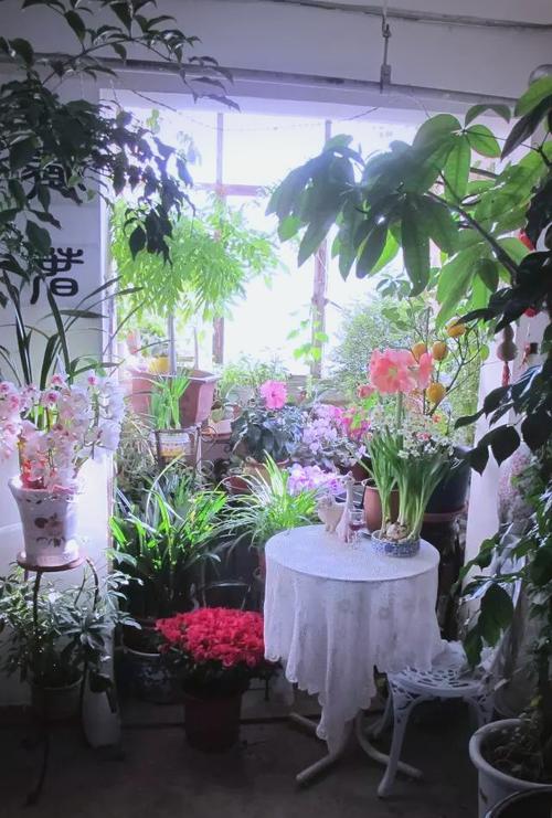 北京室内花园